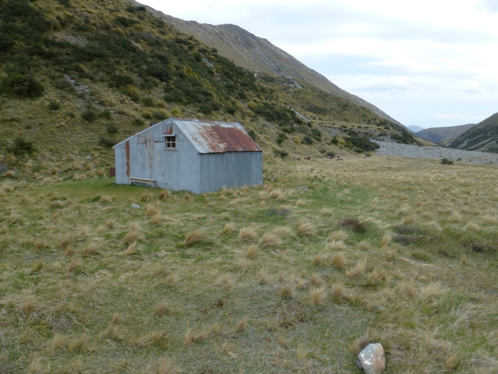 P1000116.JPG