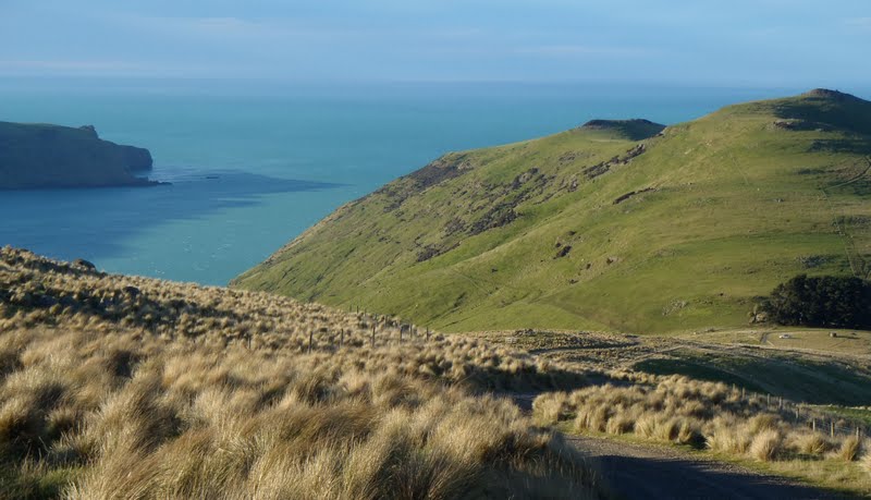 P7060820+Akaroa+Head+from+Lands+End+Road.jpg