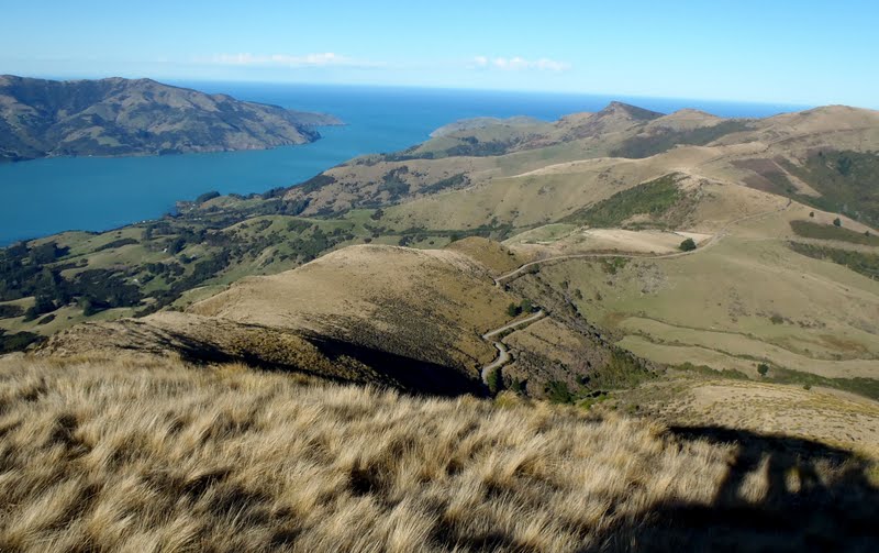 P7060848+View+south+from+Saddle+Hill.jpg