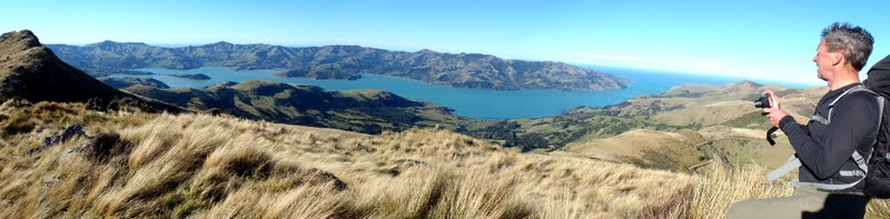 P7060852+Akaroa+Harbour+from+Saddle+Hill-1.jpg