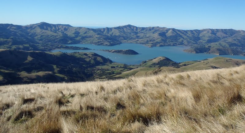 P7060865+The+head+of+Akaroa+Harbour.jpg