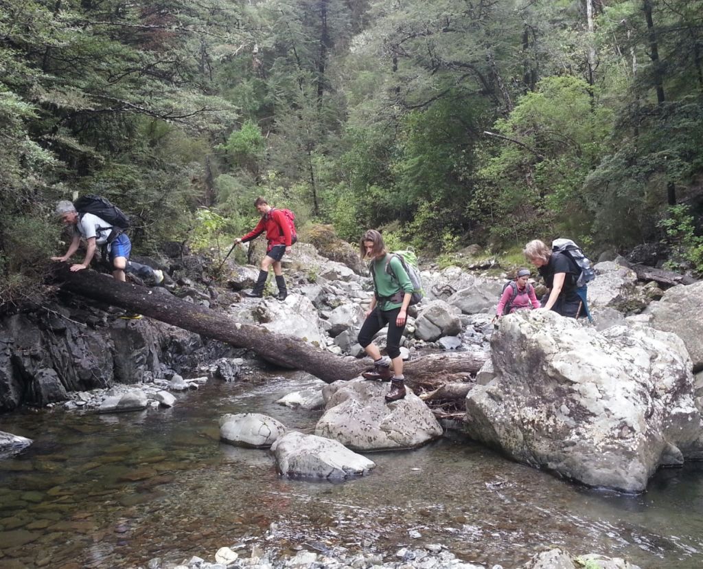20150509_115223-1.jpg