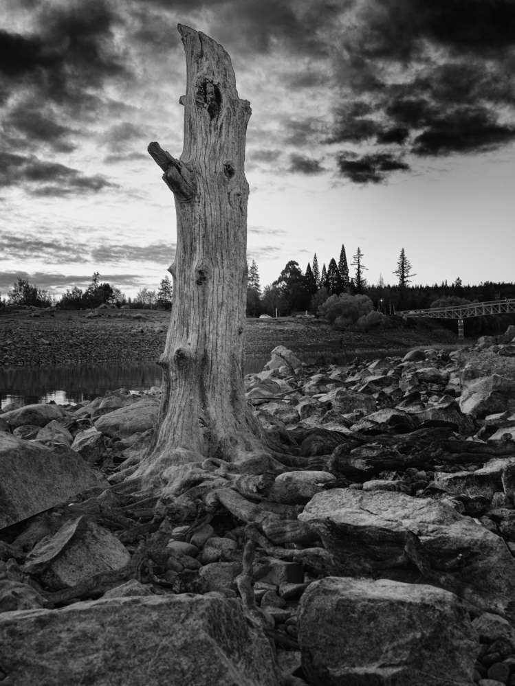 20181006-PA060017-Edit-2.jpg