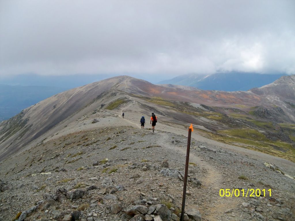 CTC image