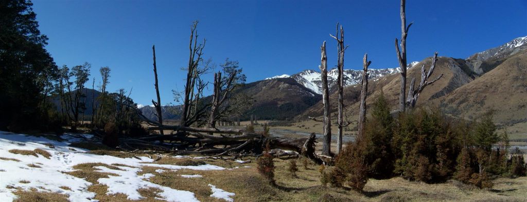 100_7497.JPG
