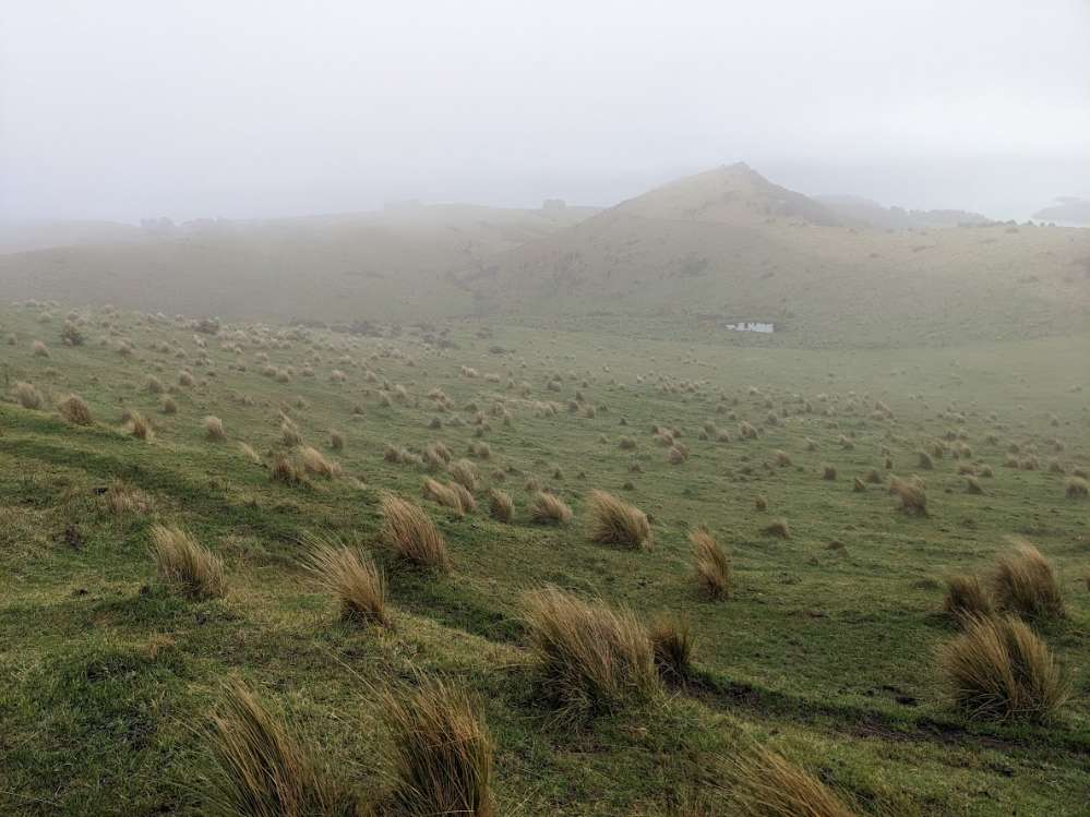 nz+-+port+hills+walking+marathon+2023+%285%29.jpg